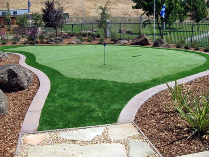 Artificial Grass Sedalia, Colorado Garden Ideas, Backyard Ideas