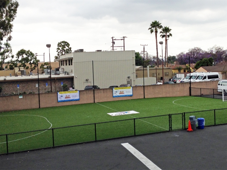 Artificial Grass The Pinery, Colorado Football Field, Commercial Landscape