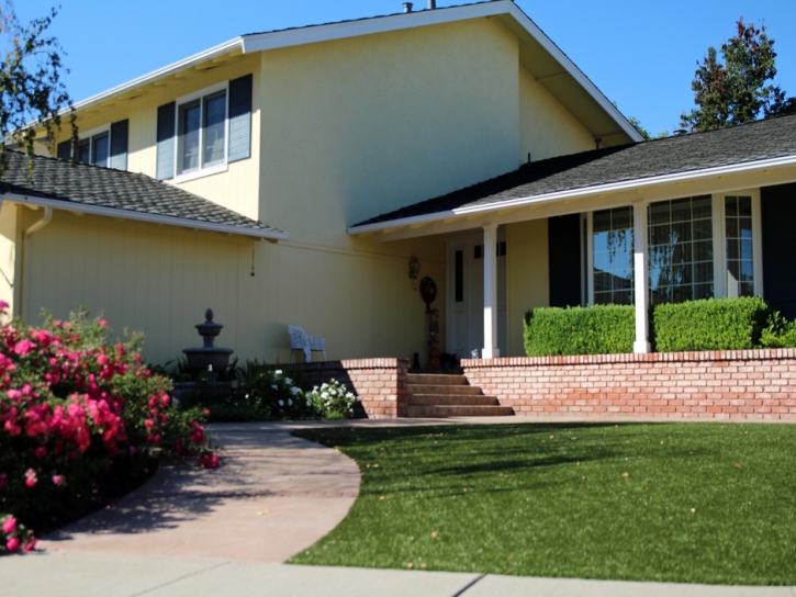 Artificial Grass Wiggins, Colorado Home And Garden, Front Yard Design