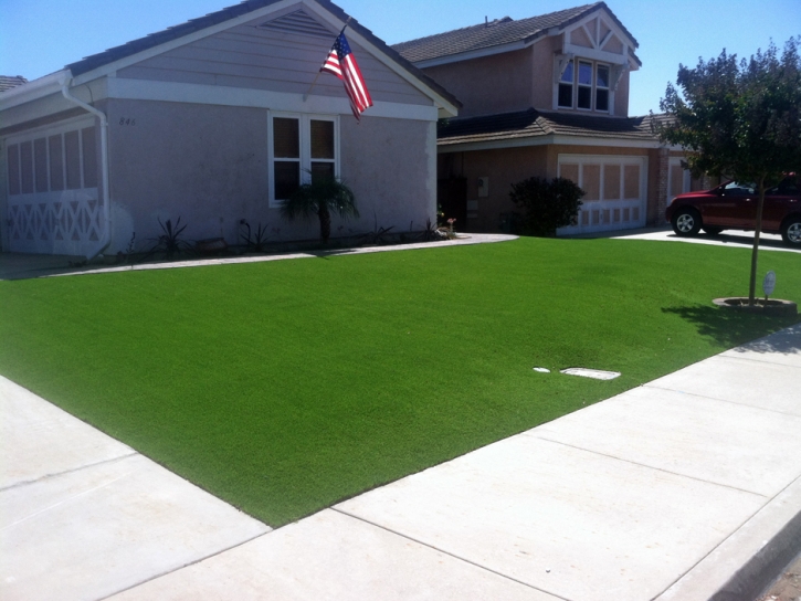 Artificial Grass Yampa, Colorado Gardeners, Front Yard Landscaping Ideas