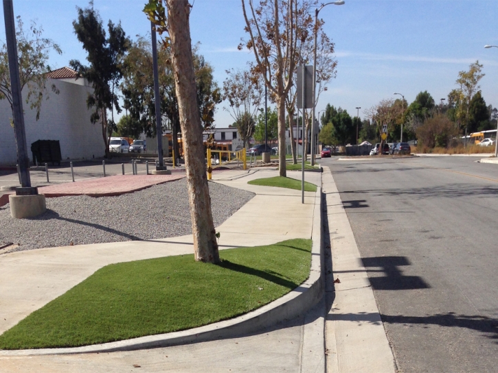 Artificial Lawn Derby, Colorado Lawns, Commercial Landscape