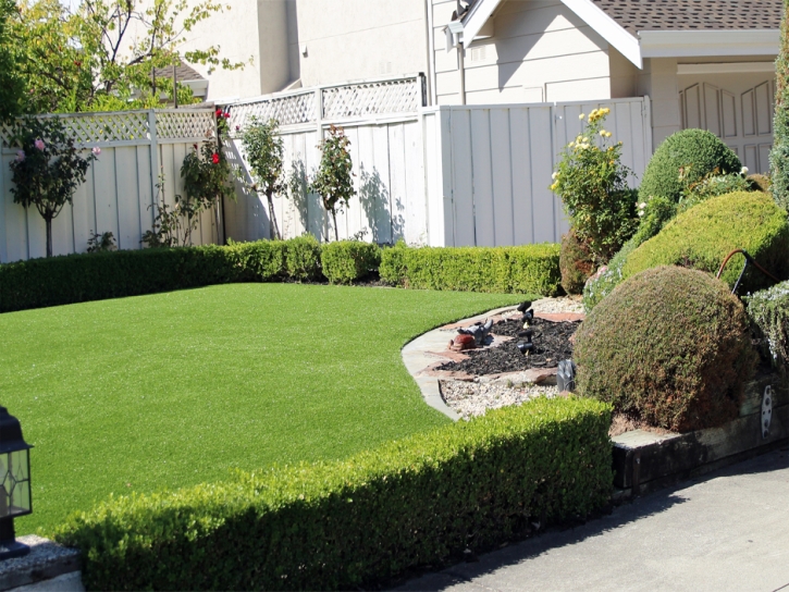 Artificial Lawn Genesee, Colorado Roof Top, Front Yard Ideas