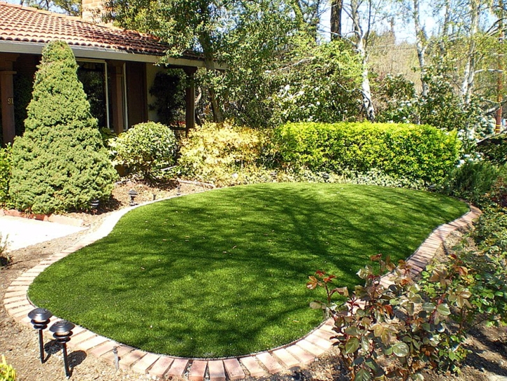 Artificial Lawn La Salle, Colorado Lawns, Beautiful Backyards