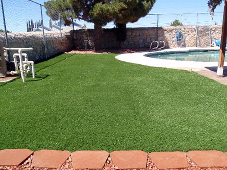 Artificial Lawn Lochbuie, Colorado Cat Playground, Pool Designs