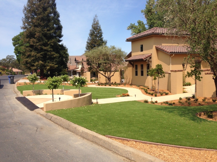 Artificial Lawn Penrose, Colorado Backyard Deck Ideas, Front Yard