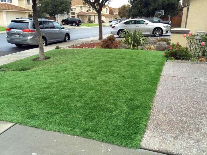 Artificial Lawn Platteville, Colorado Landscaping, Landscaping Ideas For Front Yard