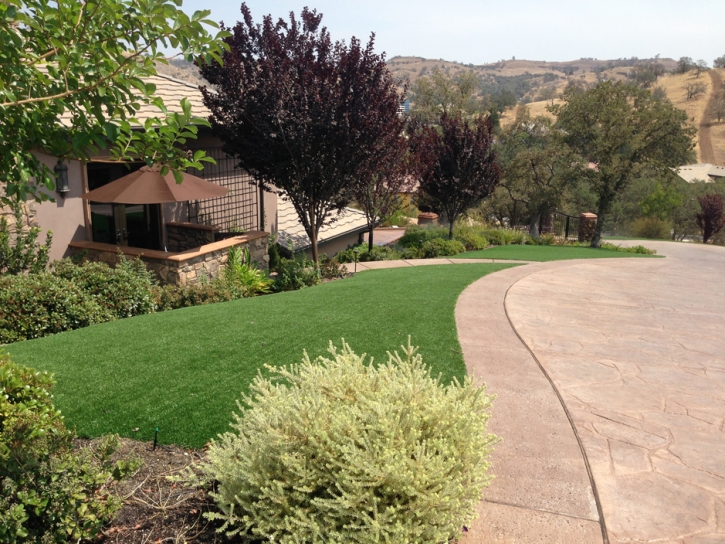 Artificial Lawn Pueblo West, Colorado Landscape Ideas, Front Yard Landscaping Ideas