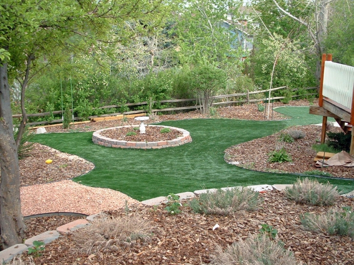 Artificial Lawn Wellington, Colorado Backyard Playground, Backyard