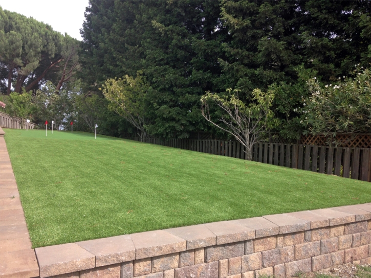 Artificial Lawn Williamsburg, Colorado Putting Green Grass, Backyard Landscaping