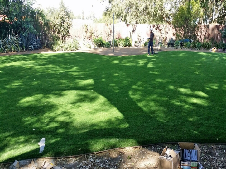 Artificial Lawn Woodland Park, Colorado Rooftop, Backyard Designs