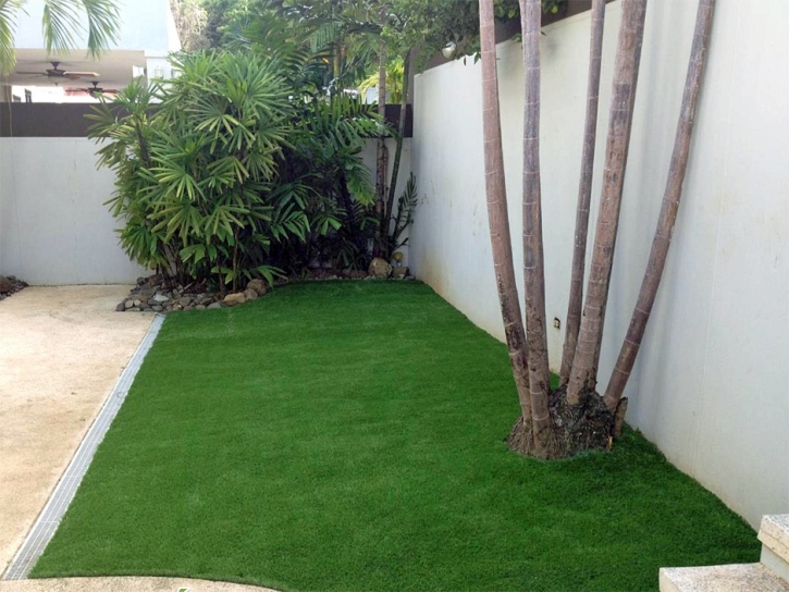 Artificial Turf Calhan, Colorado Landscape Design, Backyard Designs