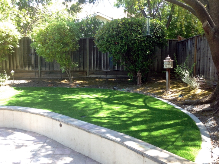 Artificial Turf Cost Cheraw, Colorado Home And Garden, Commercial Landscape