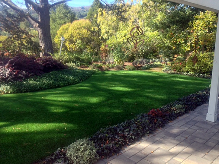 Artificial Turf Cost Orchard Mesa, Colorado Lawn And Landscape, Backyards