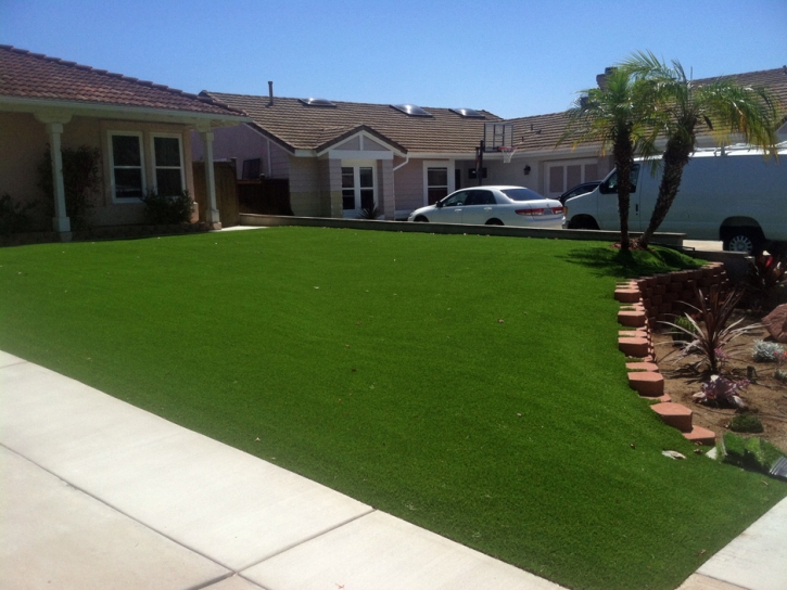 Artificial Turf Cost Salt Creek, Colorado City Landscape, Front Yard Ideas