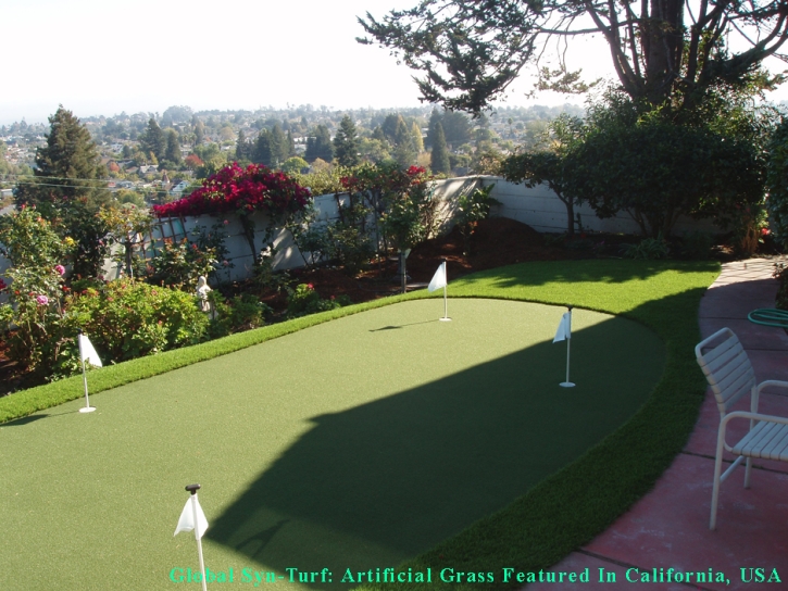 Artificial Turf Englewood, Colorado Backyard Putting Green, Backyard