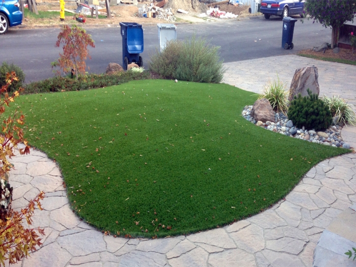 Artificial Turf Highlands Ranch, Colorado Roof Top