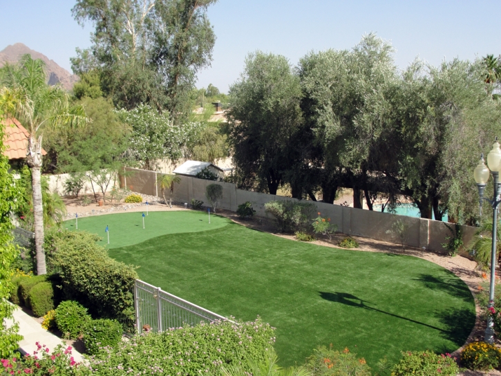 Artificial Turf Iliff, Colorado Landscape Rock, Beautiful Backyards