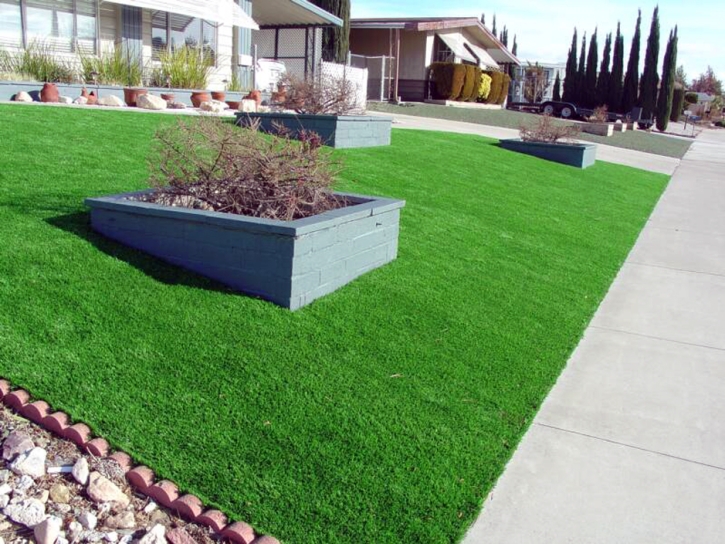 Artificial Turf Installation Stratton, Colorado Landscape Design, Small Front Yard Landscaping