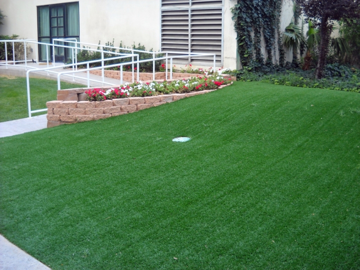 Artificial Turf Installation Todd Creek, Colorado Putting Greens, Front Yard Ideas