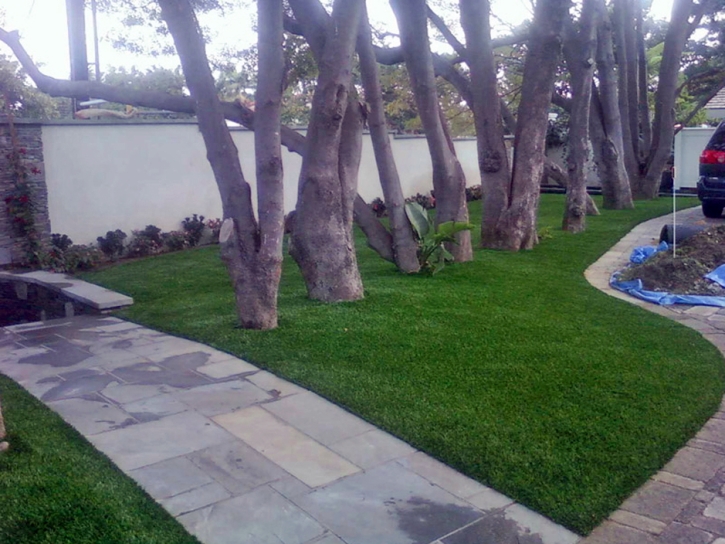 Artificial Turf Milliken, Colorado Garden Ideas, Front Yard Ideas