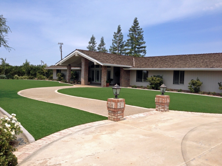 Artificial Turf Mount Crested Butte, Colorado Lawns, Front Yard Landscape Ideas