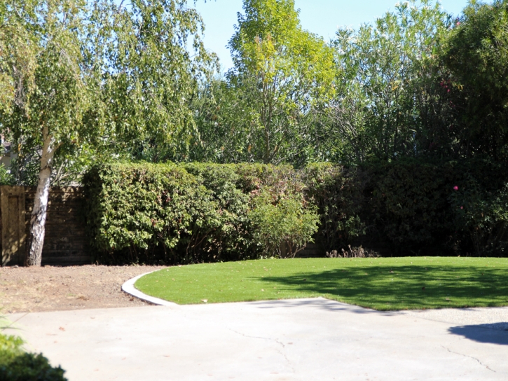 Artificial Turf Silverthorne, Colorado Design Ideas, Backyard Landscaping