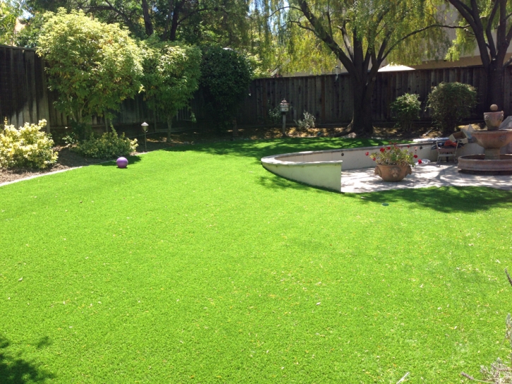 Best Artificial Grass Berthoud, Colorado Paver Patio, Backyard Garden Ideas