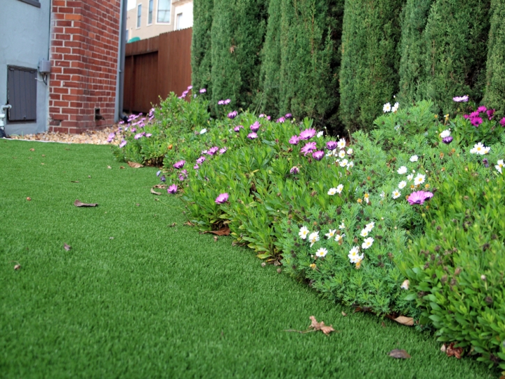 Best Artificial Grass Cascade-Chipita Park, Colorado Home And Garden, Front Yard Design