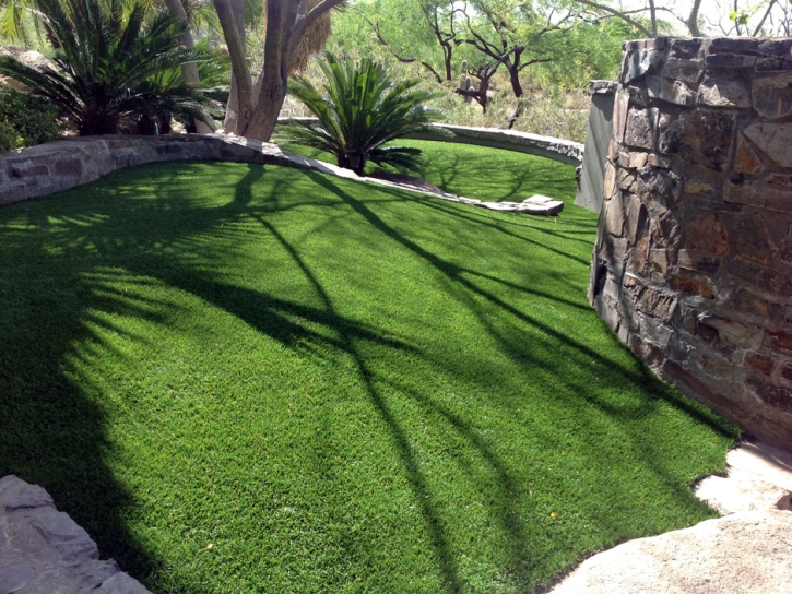 Best Artificial Grass Dotsero, Colorado Cat Grass