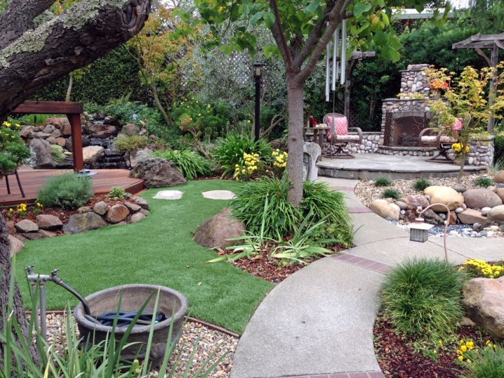 Best Artificial Grass Federal Heights, Colorado Gardeners, Backyard Makeover