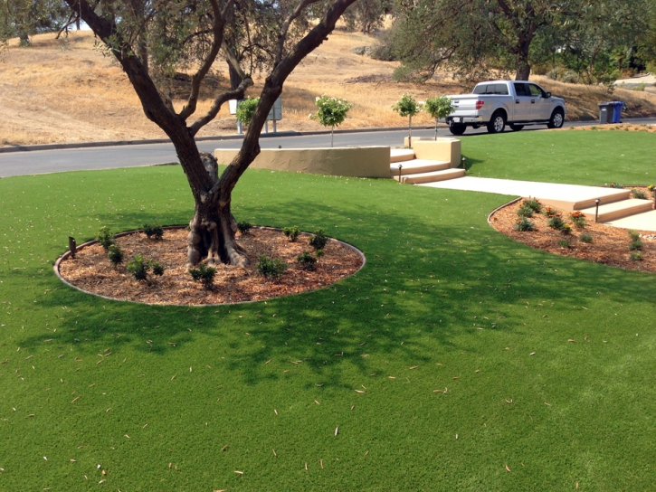 Best Artificial Grass Idledale, Colorado Gardeners, Front Yard