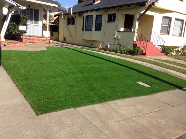 Best Artificial Grass Kittredge, Colorado Rooftop, Front Yard Design