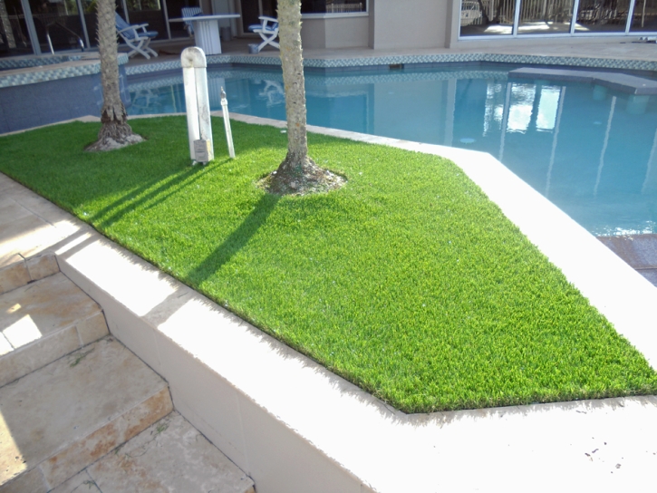 Best Artificial Grass Louviers, Colorado City Landscape, Backyard Designs