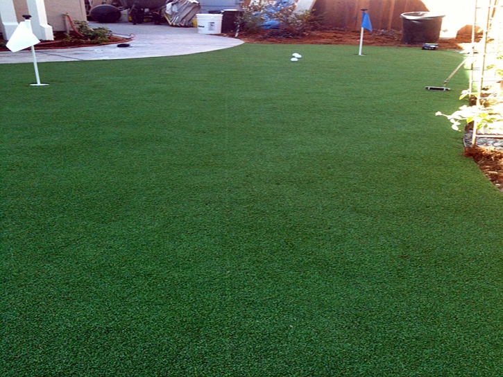 Best Artificial Grass Naturita, Colorado Roof Top, Backyard Makeover