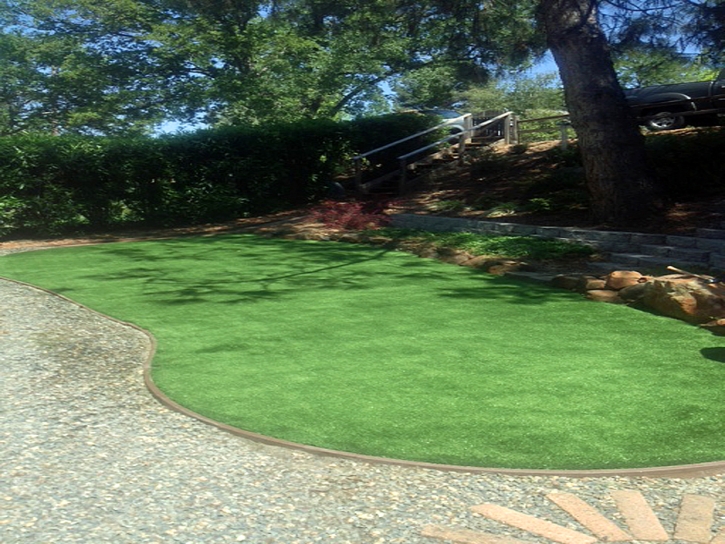 Best Artificial Grass Rico, Colorado Roof Top, Backyard Ideas