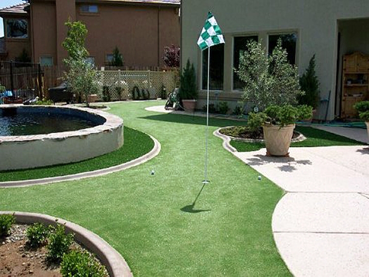 Best Artificial Grass Sunshine, Colorado Landscape Ideas, Backyard Garden Ideas