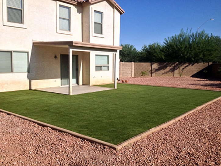 Best Artificial Grass Victor, Colorado Landscaping, Backyards