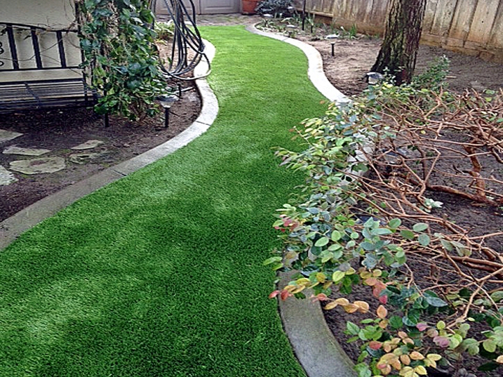 Best Artificial Grass Williamsburg, Colorado Backyard Playground, Backyard