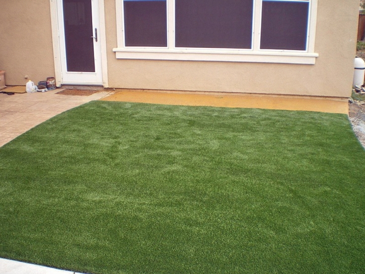 Fake Grass Altona, Colorado Garden Ideas, Backyard