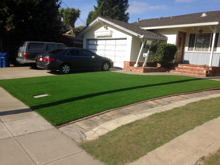 Fake Grass Beulah Valley, Colorado Garden Ideas, Front Yard Landscaping Ideas