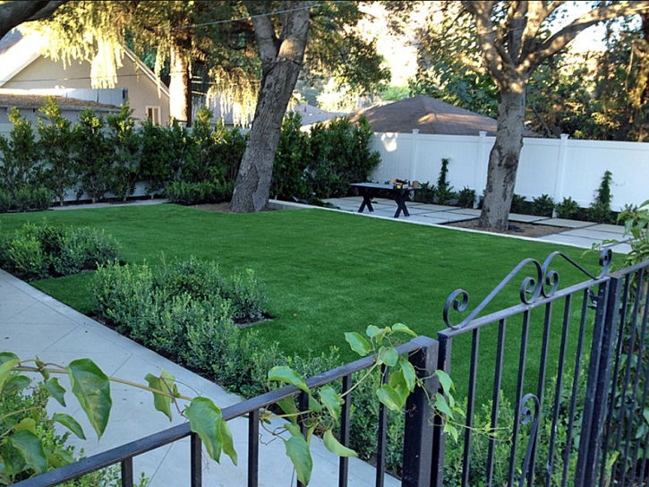 Fake Grass Carpet Bark Ranch, Colorado Home And Garden, Front Yard Landscaping