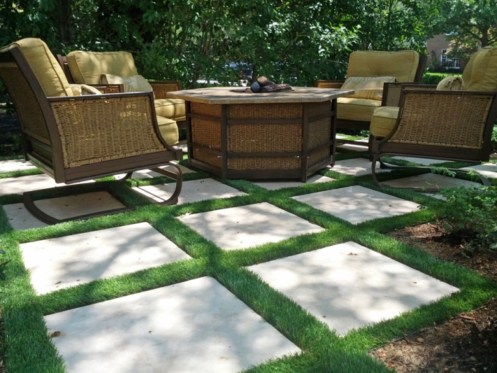 Fake Grass Carpet Eckley, Colorado Landscaping Business, Backyard Ideas