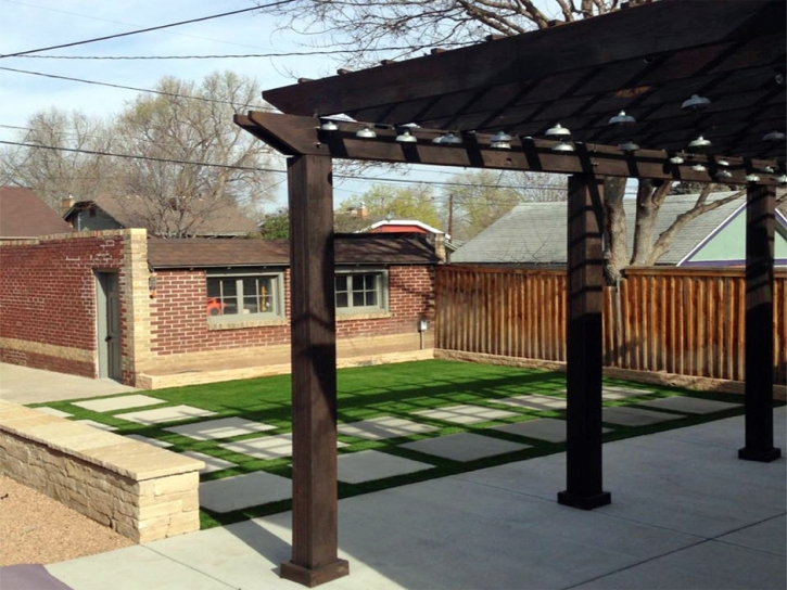 Fake Grass Carpet Leadville North, Colorado City Landscape, Backyard Designs