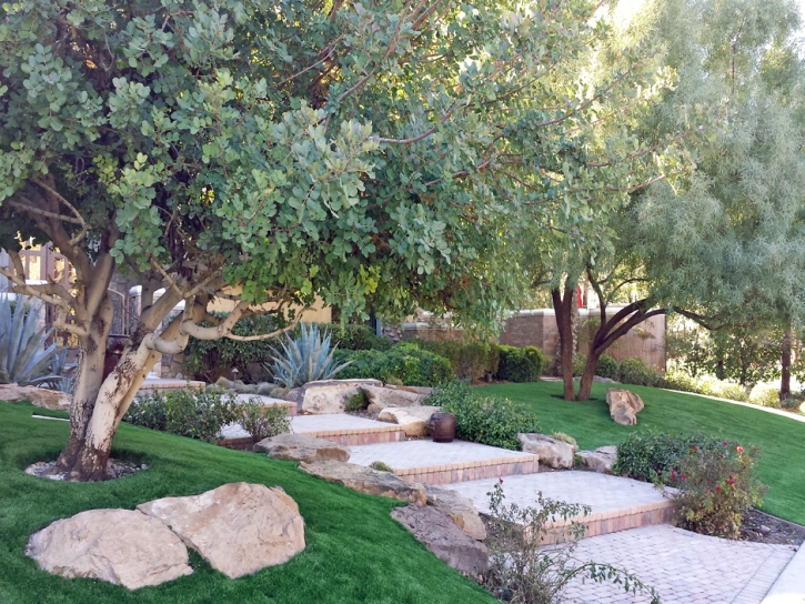 Fake Grass Carpet Ridgway, Colorado Landscape Design, Backyard Design