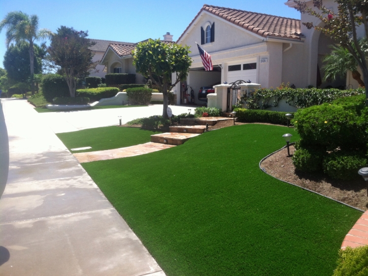 Fake Grass Carpet Vineland, Colorado Home And Garden, Front Yard Ideas