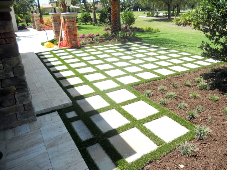 Fake Grass Edgewater, Colorado Garden Ideas, Backyard Landscape Ideas