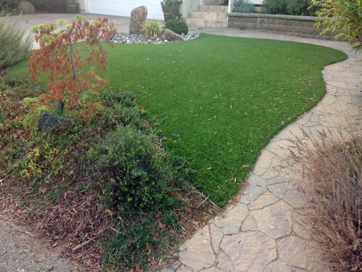 Fake Grass Frederick, Colorado Design Ideas, Backyard Ideas