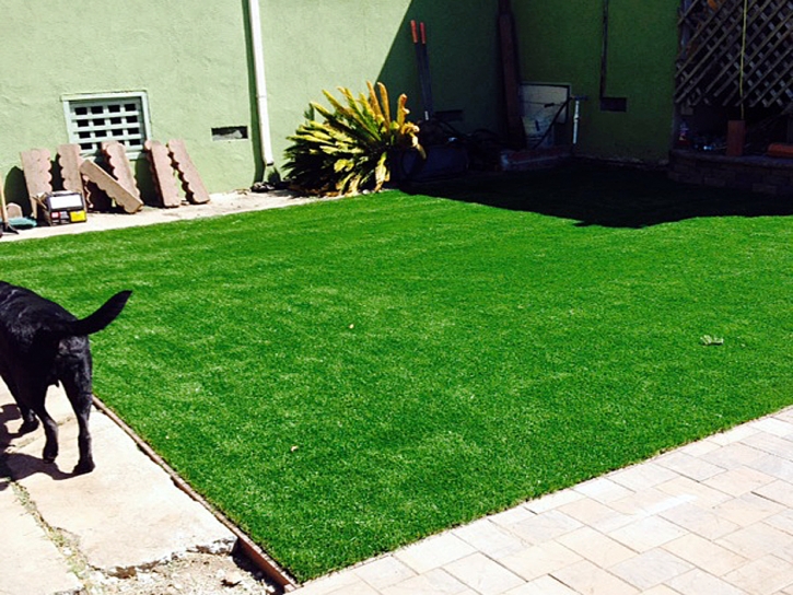 Fake Grass Jamestown, Colorado Backyard Playground, Grass for Dogs