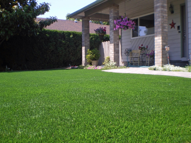 Fake Grass La Veta, Colorado Landscape Photos, Front Yard Design