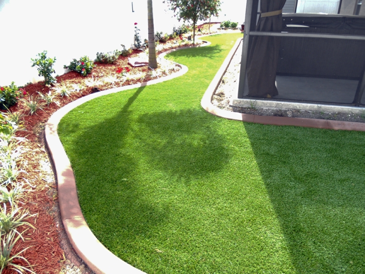 Fake Grass Orchard City, Colorado Lawns, Backyard Ideas